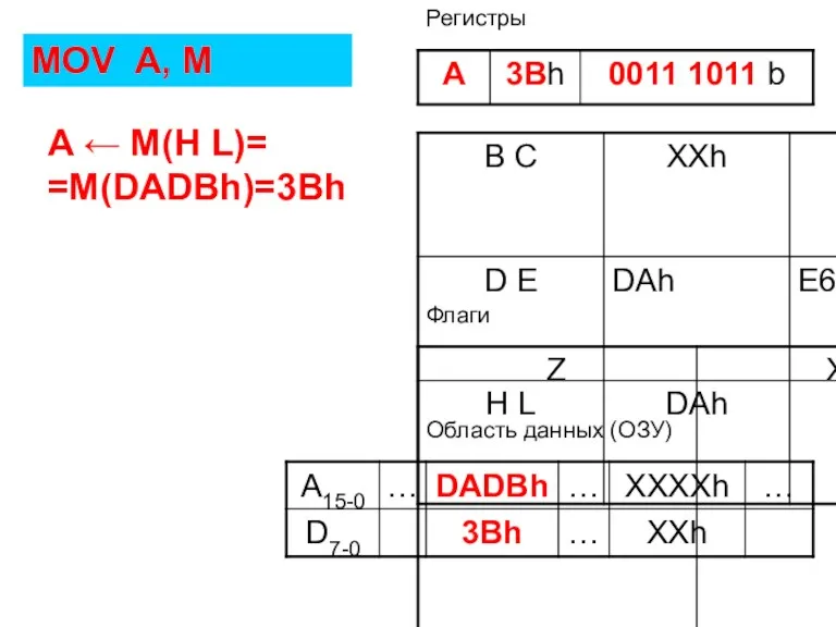 Флаги Регистры Область данных (ОЗУ) MOV A, M A ← M(H L)= =M(DADBh)=3Bh