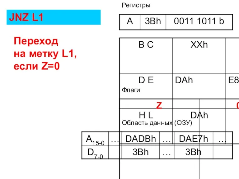 Флаги Регистры Область данных (ОЗУ) JNZ L1 Переход на метку L1, если Z=0