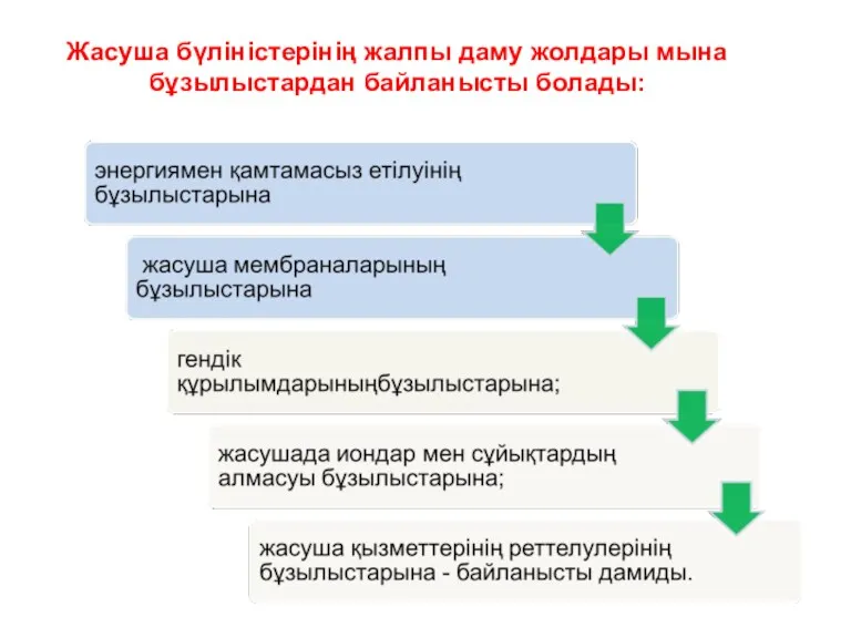 Жасуша бүліністерінің жалпы даму жолдары мына бұзылыстардан байланысты болады: