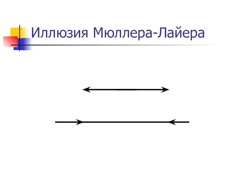 Иллюзия Мюллера-Лайера