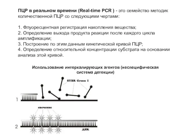 ПЦР в реальном времени (Real-time PCR ) - это семейство