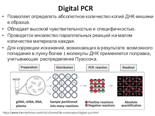 Digital PCR Позволяет определять абсолютное количество копий ДНК-мишени в образце.