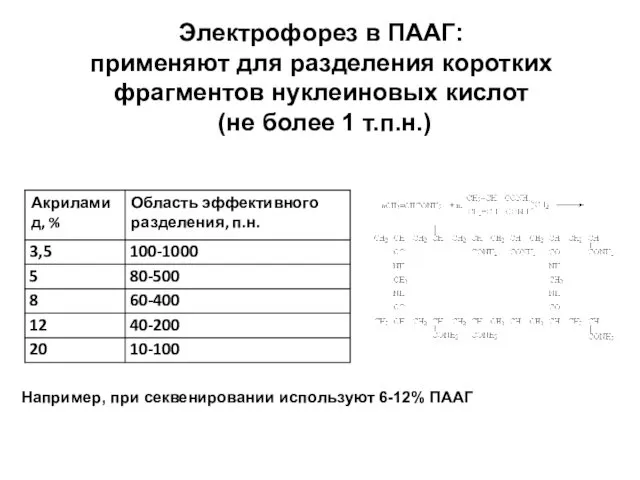 Электрофорез в ПААГ: применяют для разделения коротких фрагментов нуклеиновых кислот