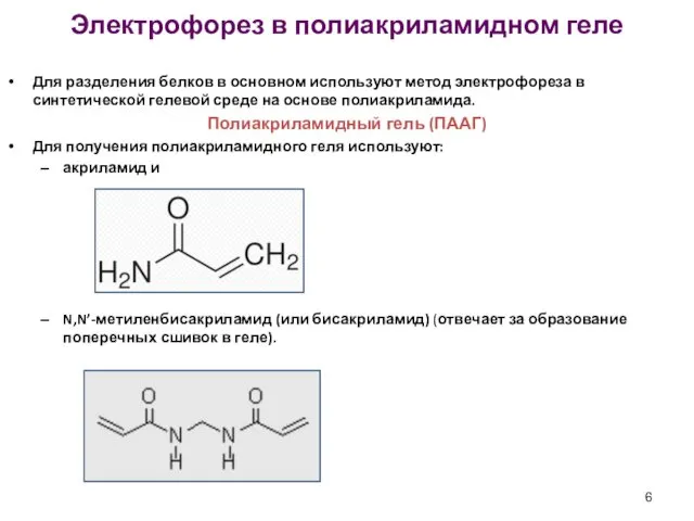 Электрофорез в полиакриламидном геле Для разделения белков в основном используют