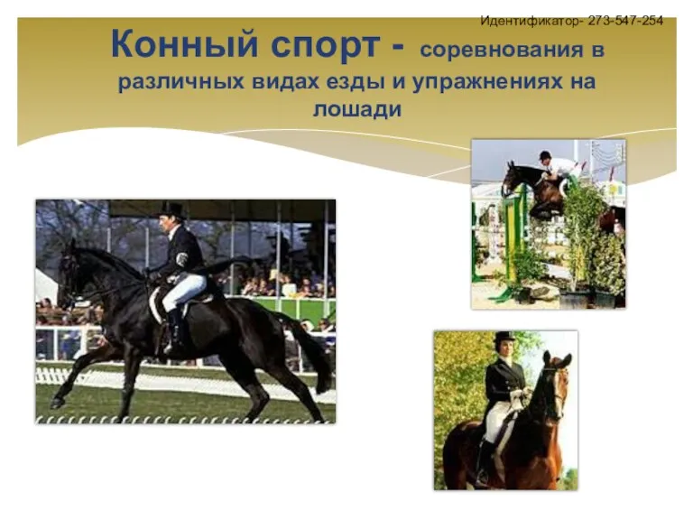 Конный спорт - соревнования в различных видах езды и упражнениях на лошади Идентификатор- 273-547-254