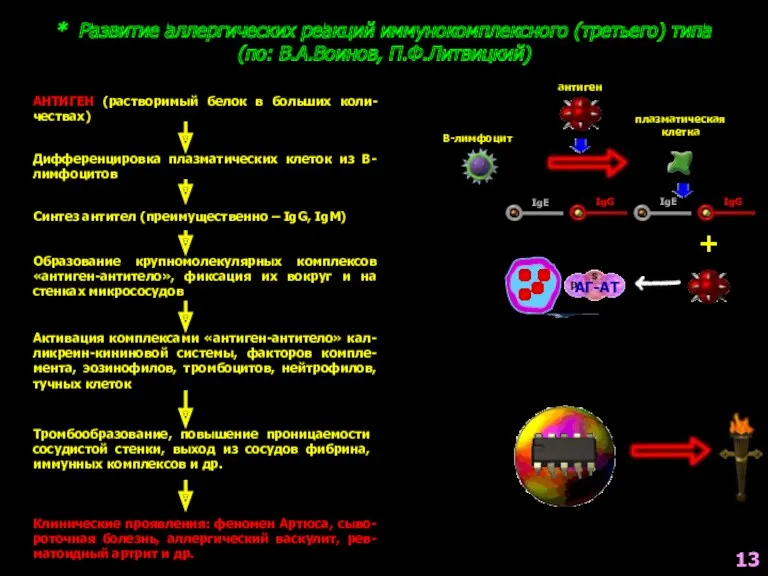 * Развитие аллергических реакций иммунокомплексного (третьего) типа (по: В.А.Воинов, П.Ф.Литвицкий)
