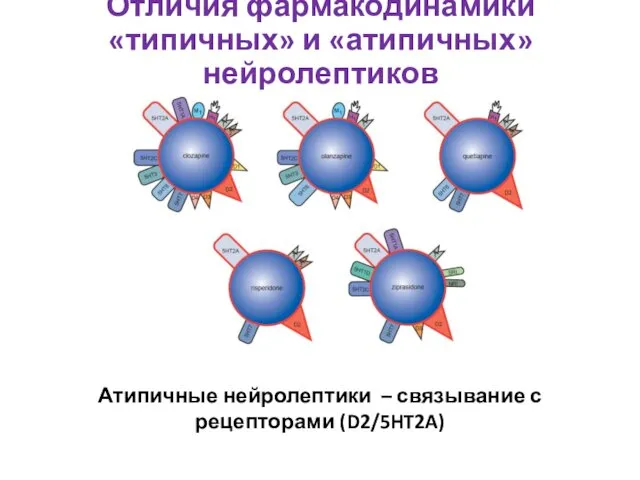 Атипичные нейролептики – связывание с рецепторами (D2/5HT2A) Отличия фармакодинамики «типичных» и «атипичных» нейролептиков