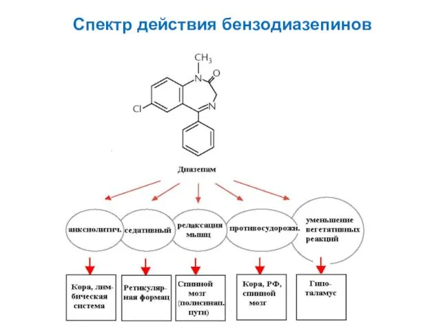 Спектр действия бензодиазепинов