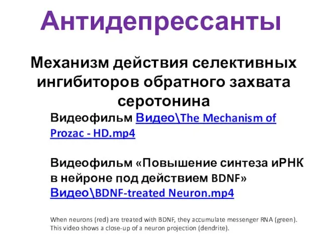 Антидепрессанты Механизм действия селективных ингибиторов обратного захвата серотонина Видеофильм Видео\The