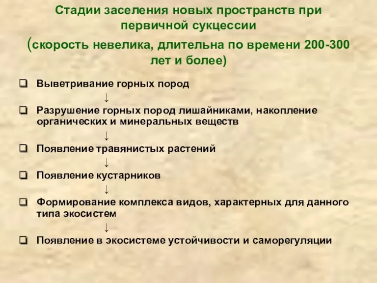 Стадии заселения новых пространств при первичной сукцессии (скорость невелика, длительна