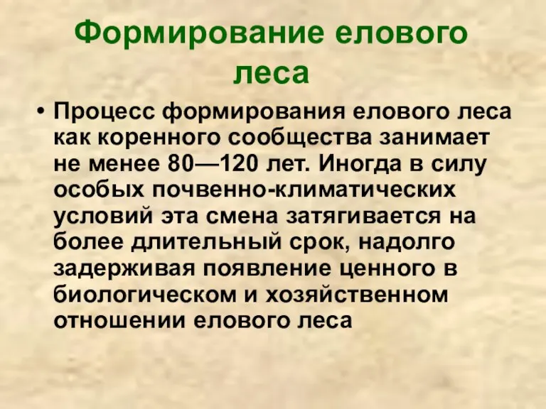 Формирование елового леса Процесс формирования елового леса как коренного сообщества