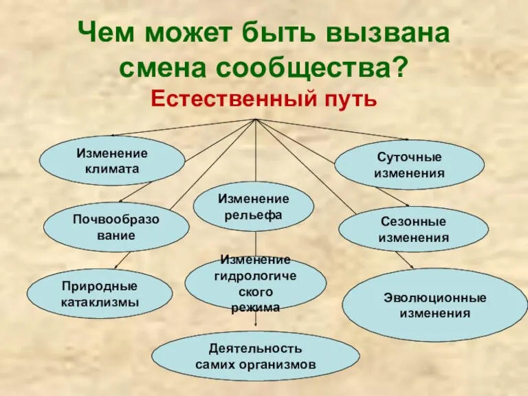 Чем может быть вызвана смена сообщества? Естественный путь Изменение климата