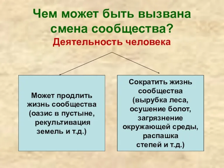 Чем может быть вызвана смена сообщества? Деятельность человека Может продлить