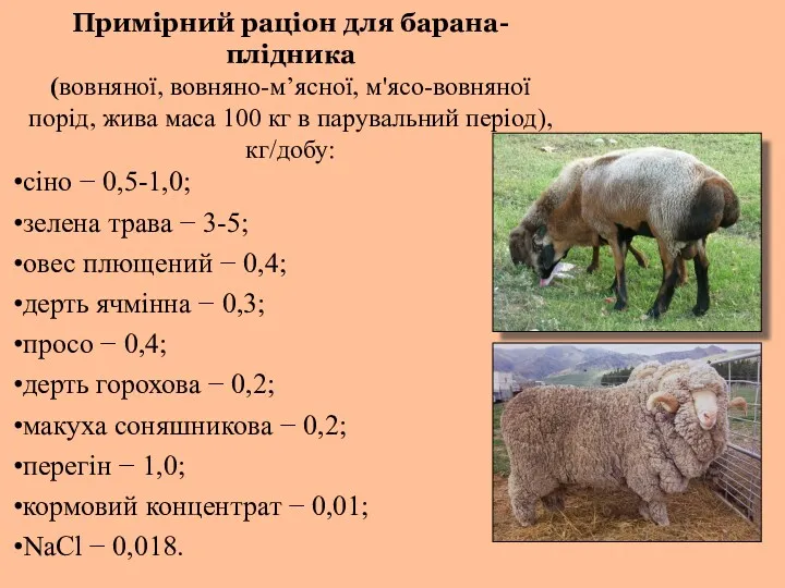 Примірний раціон для барана-плідника (вовняної, вовняно-м’ясної, м'ясо-вовняної порід, жива маса