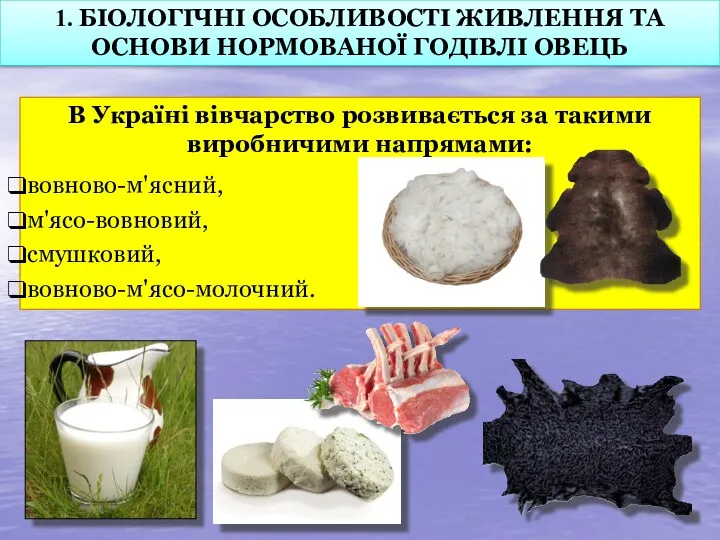 В Україні вівчарство розвивається за такими виробничими напрямами: вовново-м'ясний, м'ясо-вовновий,