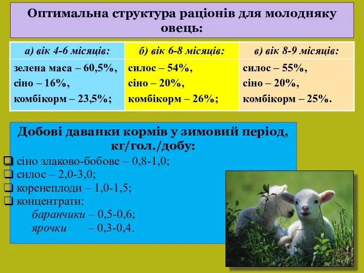 Оптимальна структура раціонів для молодняку овець: Добові даванки кормів у