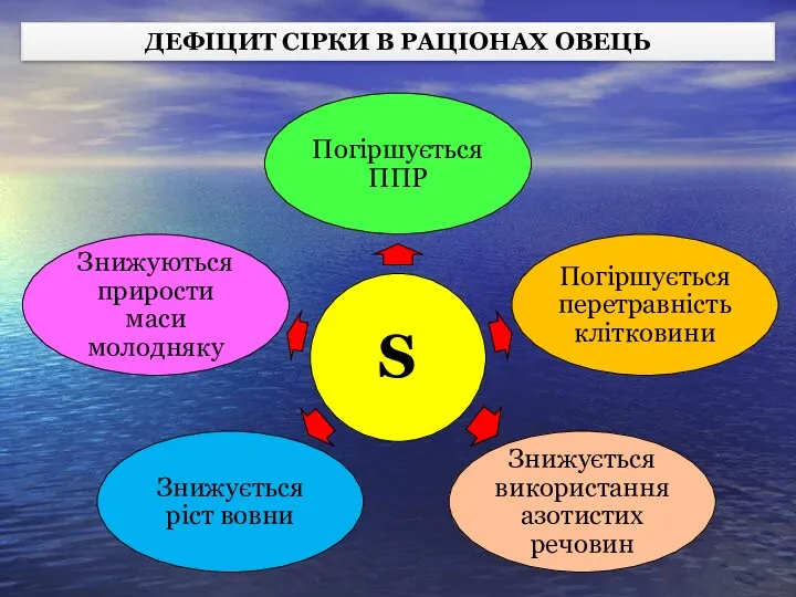 ДЕФІЦИТ СІРКИ В РАЦІОНАХ ОВЕЦЬ