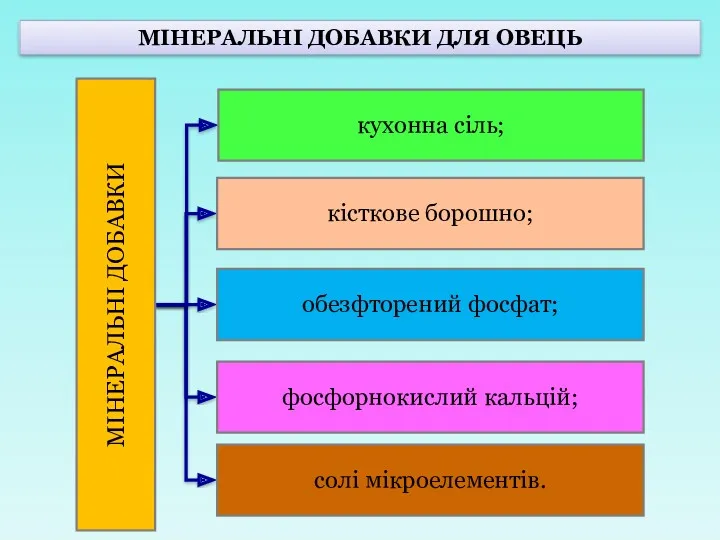 МІНЕРАЛЬНІ ДОБАВКИ ДЛЯ ОВЕЦЬ