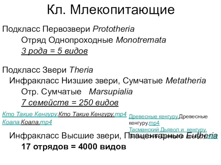 Кл. Млекопитающие Подкласс Первозвери Prototheria Отряд Однопроходные Monotremata 3 рода