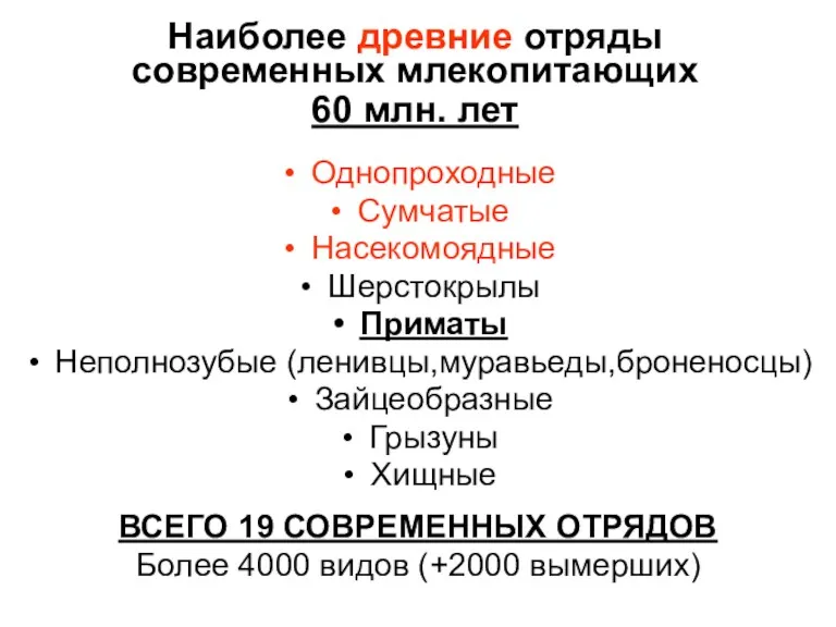 Наиболее древние отряды современных млекопитающих 60 млн. лет Однопроходные Сумчатые