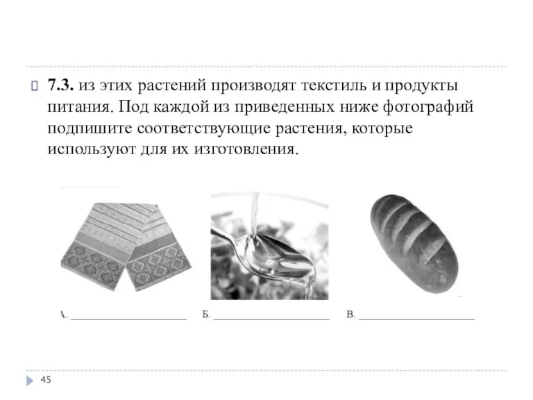 7.3. из этих растений производят текстиль и продукты питания. Под