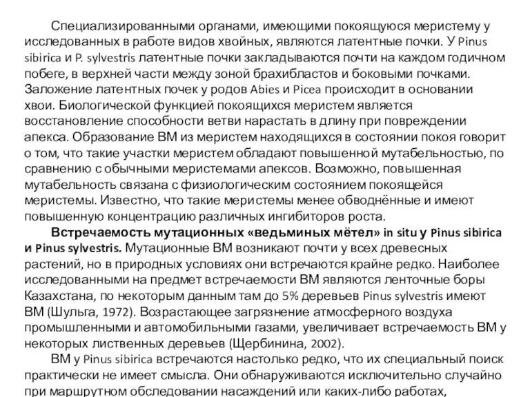 Специализированными органами, имеющими покоящуюся меристему у исследованных в работе видов