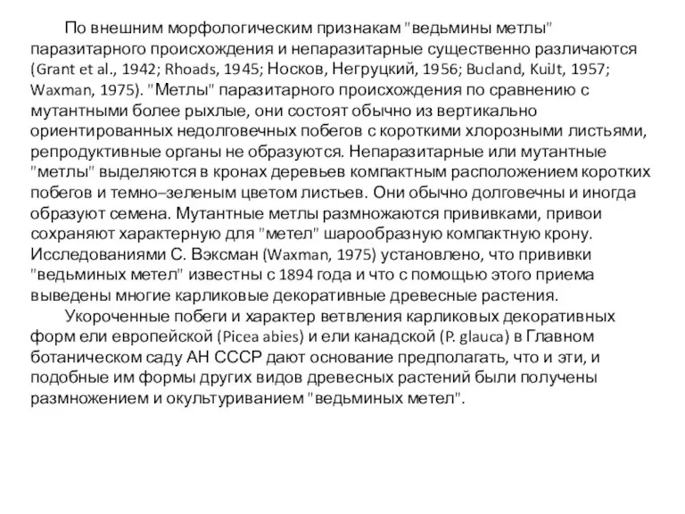 По внешним морфологическим признакам "ведьмины метлы" паразитарного происхождения и непаразитарные