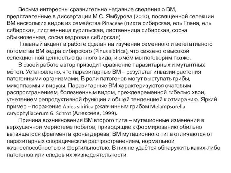 Весьма интересны сравнительно недавние сведения о ВМ, представленные в диссертации