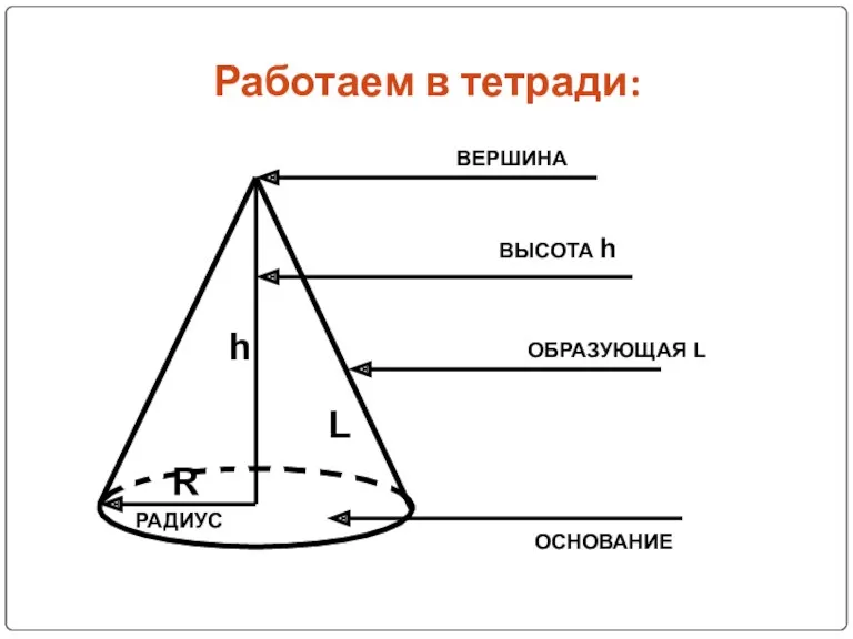 Работаем в тетради: ОСНОВАНИЕ ВЕРШИНА ВЫСОТА h R РАДИУС ОБРАЗУЮЩАЯ L L h