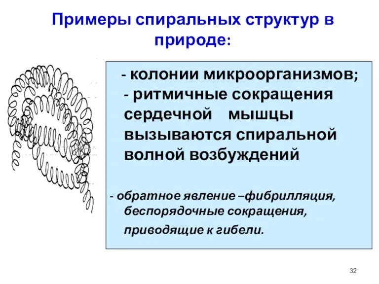 Примеры спиральных структур в природе: - колонии микроорганизмов; - ритмичные