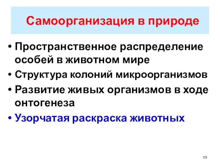 Самоорганизация в природе Пространственное распределение особей в животном мире Структура