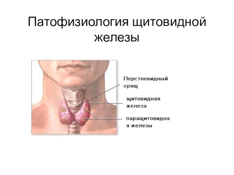 Патофизиология щитовидной железы