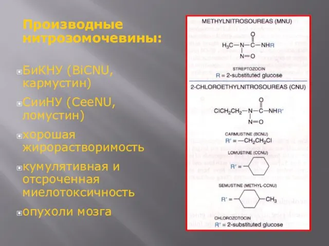 Производные нитрозомочевины: БиКНУ (BiCNU, кармустин) СииНУ (CeeNU, ломустин) хорошая жирорастворимость кумулятивная и отсроченная миелотоксичность опухоли мозга