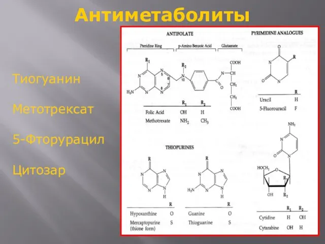 Антиметаболиты Тиогуанин Метотрексат 5-Фторурацил Цитозар