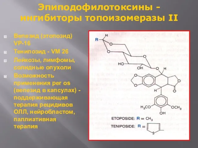 Эпиподофилотоксины - ингибиторы топоизомеразы II Вепезид (этопозид) VP-16 Тенипозид - VM 26 Лейкозы,