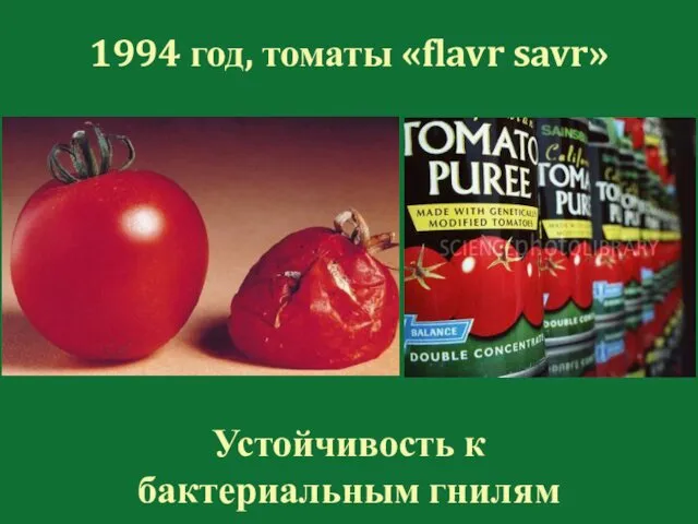 1994 год, томаты «flavr savr» Устойчивость к бактериальным гнилям