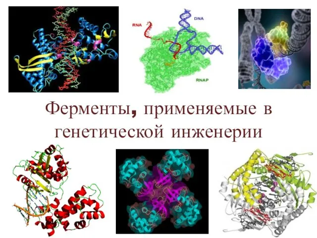 Ферменты, применяемые в генетической инженерии