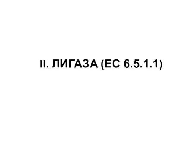 II. ЛИГАЗА (EC 6.5.1.1)