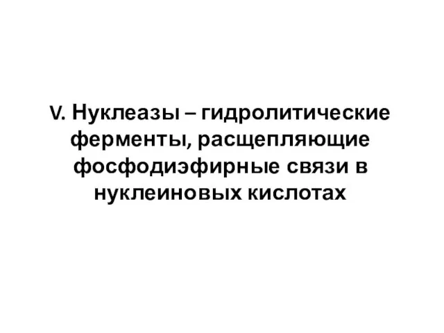 V. Нуклеазы – гидролитические ферменты, расщепляющие фосфодиэфирные связи в нуклеиновых кислотах