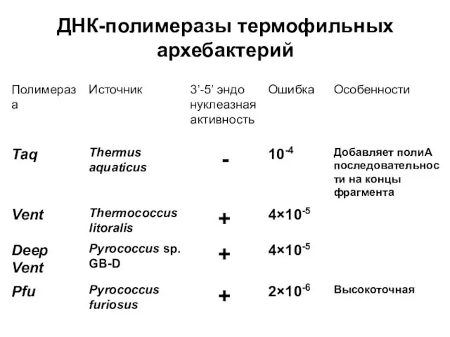 ДНК-полимеразы термофильных архебактерий