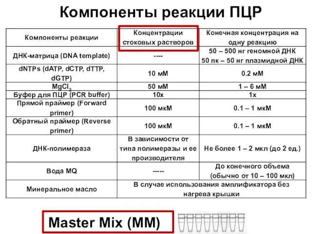 Компоненты реакции ПЦР Master Mix (MM)