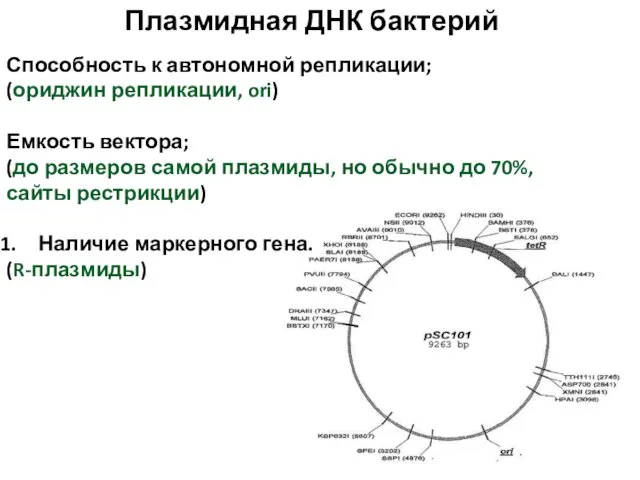 Плазмидная ДНК бактерий Способность к автономной репликации; (ориджин репликации, ori)