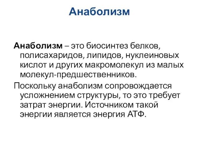 Анаболизм Анаболизм – это биосинтез белков, полисахаридов, липидов, нуклеиновых кислот