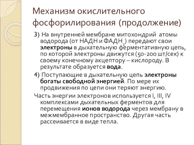 3) На внутренней мембране митохондрий атомы водорода (от НАДН и