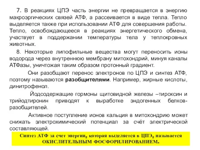 7. В реакциях ЦПЭ часть энергии не превращается в энергию