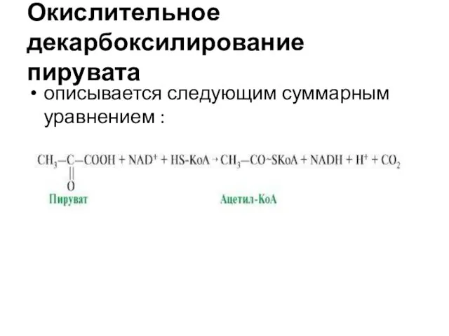 Окислительное декарбоксилирование пирувата описывается следующим суммарным уравнением :