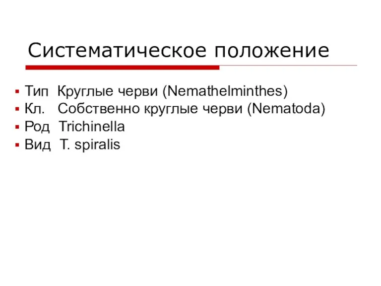 Систематическое положение Тип Круглые черви (Nemathelminthes) Кл. Собственно круглые черви (Nematoda) Род Trichinella Вид T. spiralis