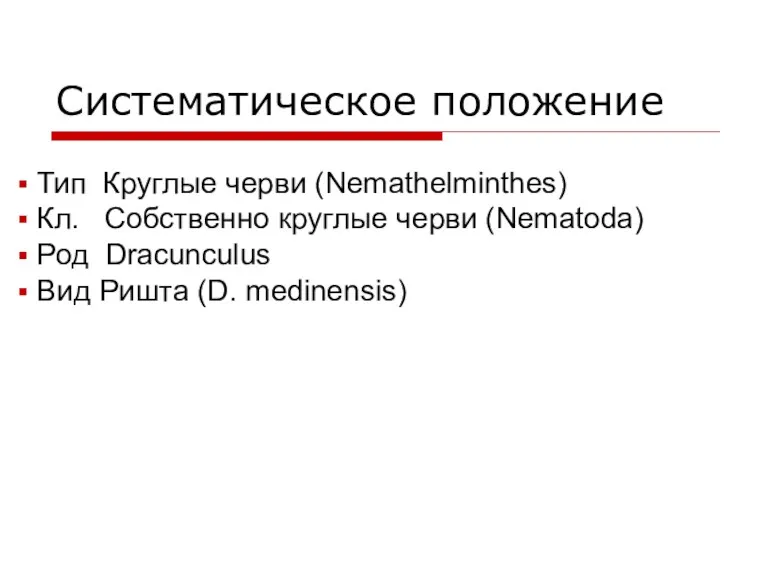 Систематическое положение Тип Круглые черви (Nemathelminthes) Кл. Собственно круглые черви