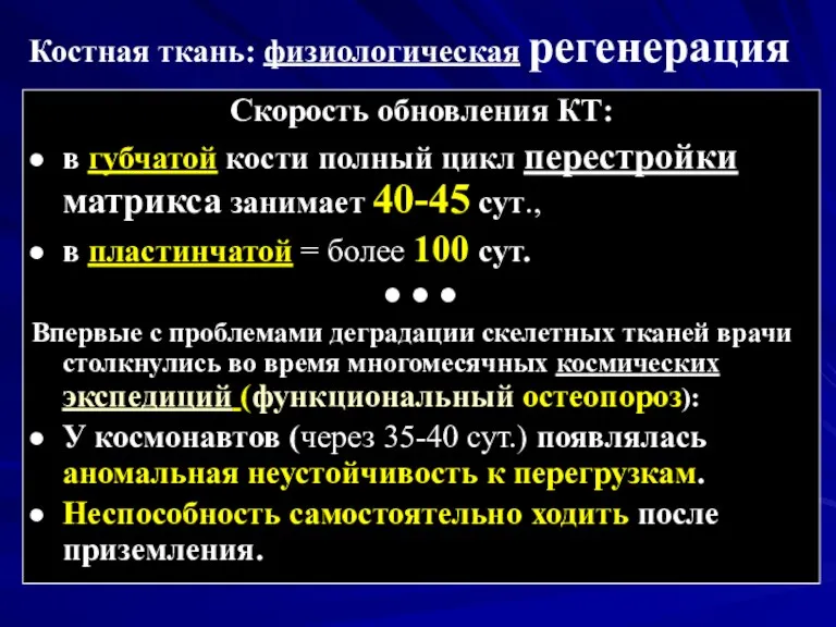 Костная ткань: физиологическая регенерация Скорость обновления КТ: в губчатой кости