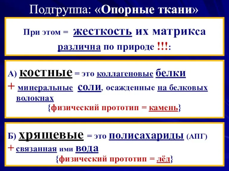 Подгруппа: «Опорные ткани» При этом = жесткость их матрикса различна